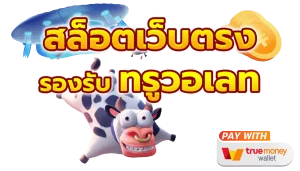 สล็อต ฝาก ท รู มัน นี่